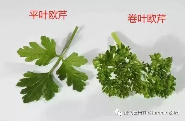 (化排)化学物排毒果昔(标准版和增强版)-图片4