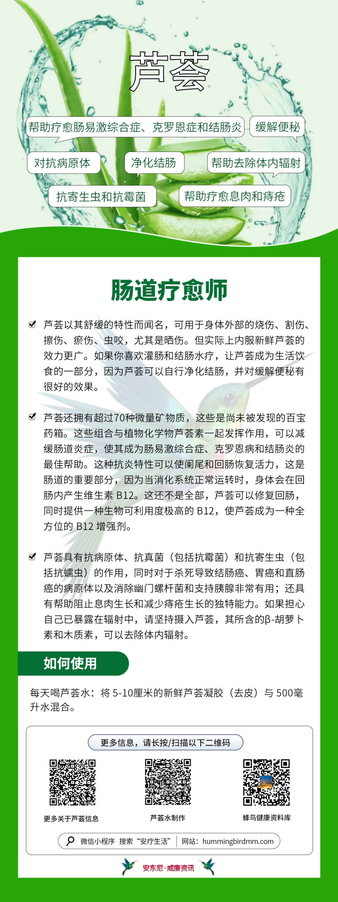 芦荟疗法 各类胃肠道问题的救星-图片2