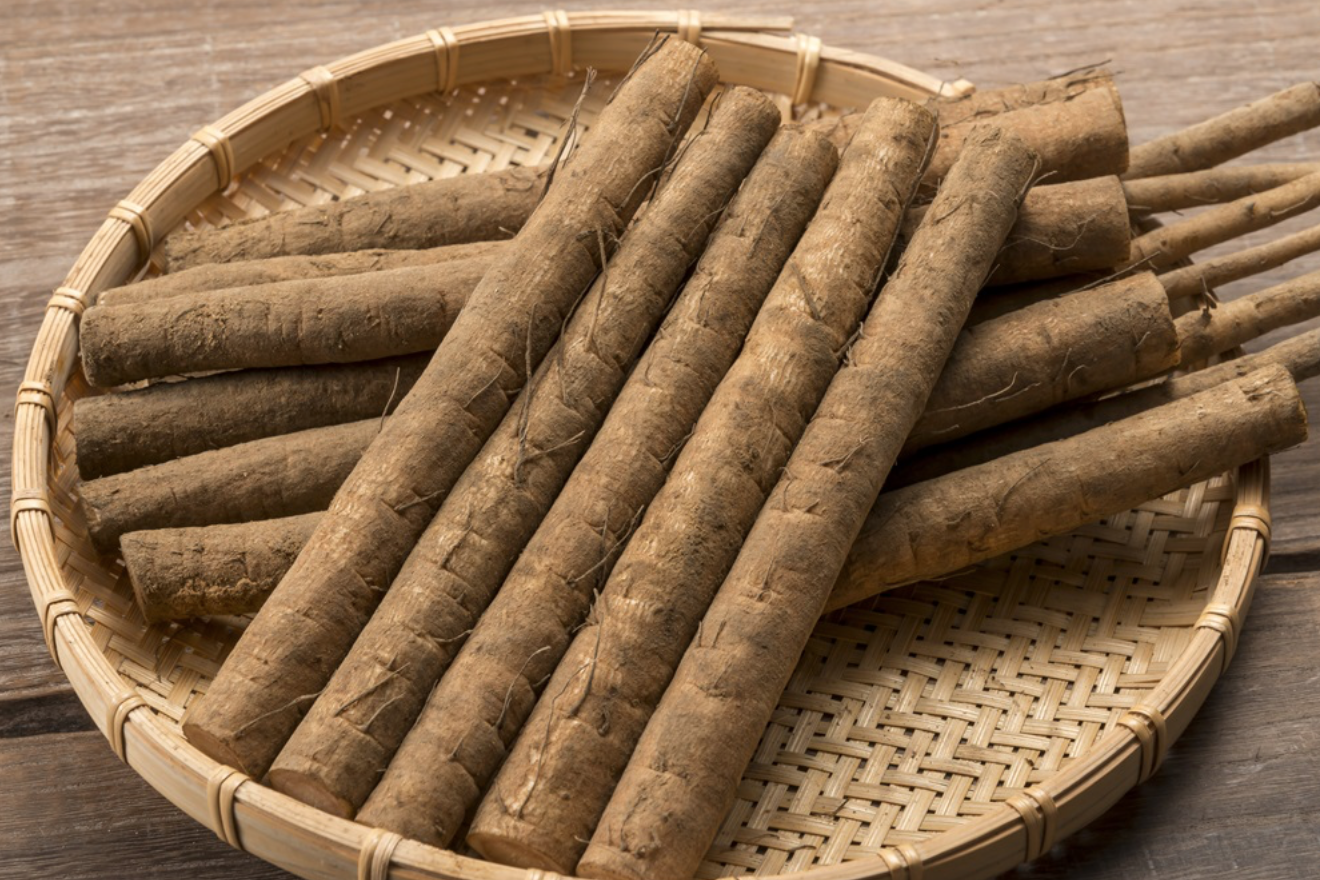强大的接地气食物-牛蒡根-图片3