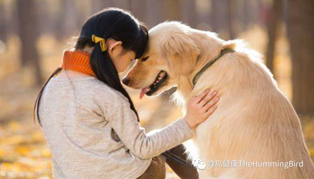 宠物健康（猫、狗等各类宠物）-图片2