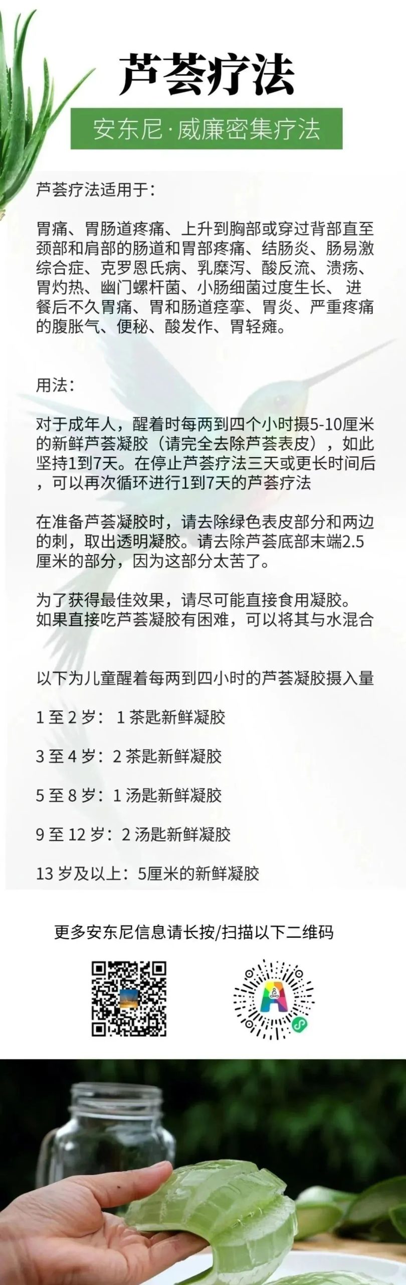 芦荟疗法 各类胃肠道问题的救星-图片1