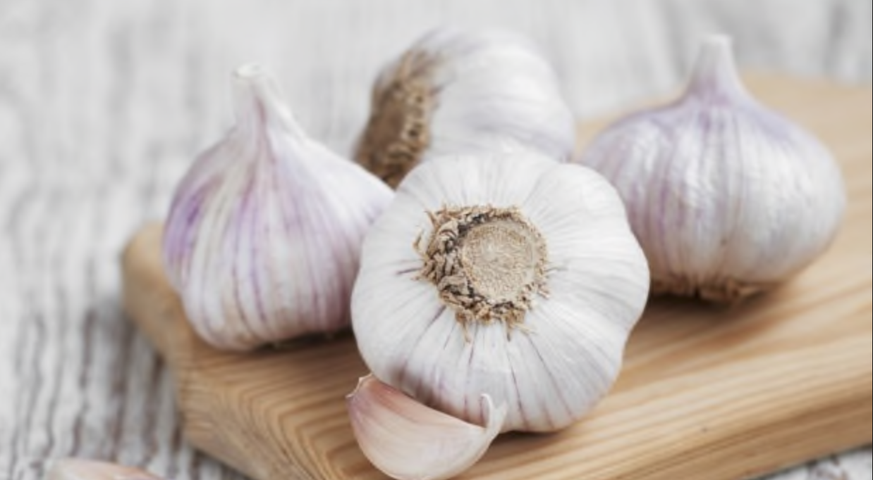 garlic.png