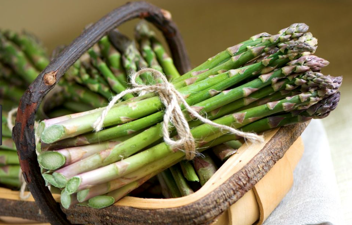 asparagus 2.png